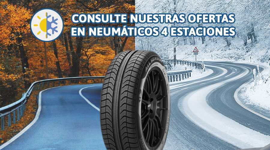 Neumáticos 4 estaciones